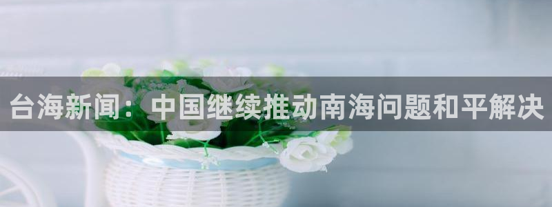 台海新闻:中国继续推动南海问题和平解决