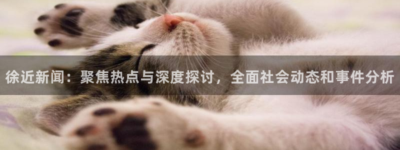 徐近新闻:聚焦热点与深度探讨,全面社会动态和事件分析