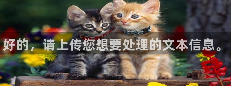 好的，请上传您想要处理的文本信息。