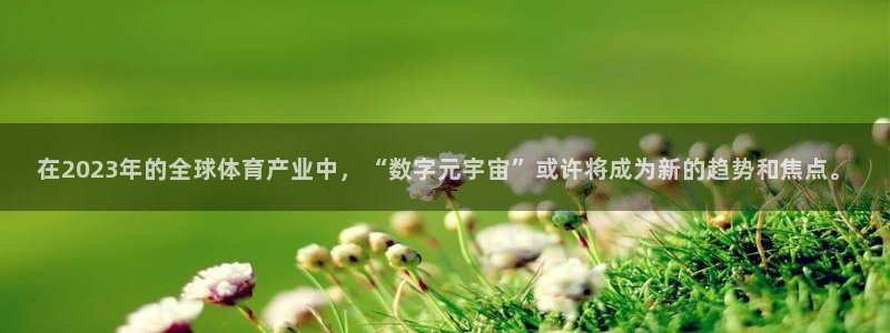 在2023年的全球体育产业中，“数字元宇宙”或许将成为新的趋势和焦点。