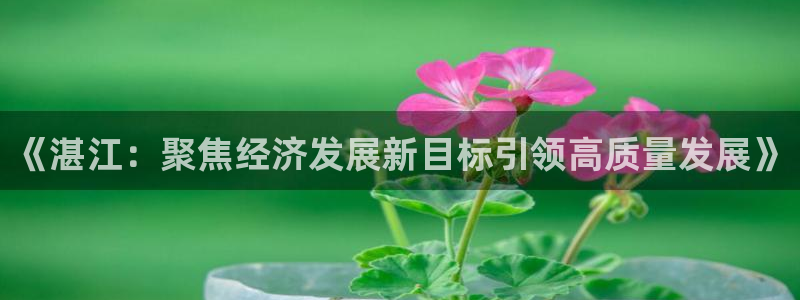 《湛江：聚焦经济发展新目标引领高质量发展》