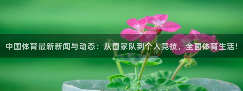 中国体育最新新闻与动态：从国家队到个人竞技，全面体育生活!
