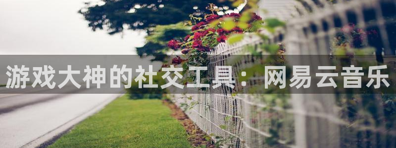 游戏大神的社交工具：网易云音乐