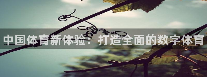 中国体育新体验：打造全面的数字体育