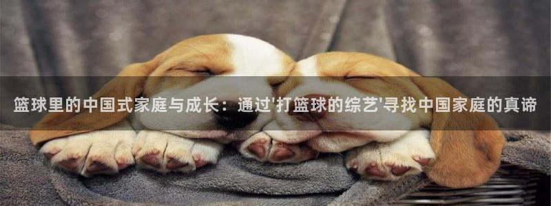 篮球里的中国式家庭与成长：通过\'打篮球的综艺\'寻找中国家庭的真谛