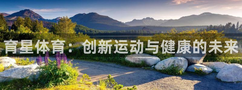 育星体育：创新运动与健康的未来
