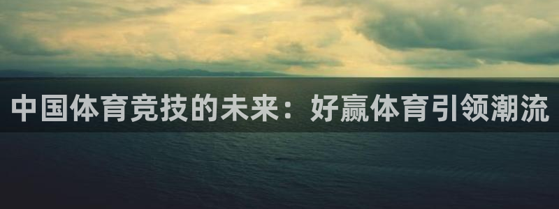 中国体育竞技的未来：好赢体育引领潮流
