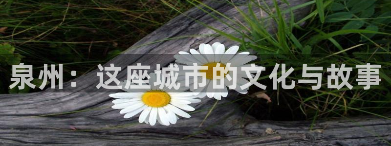 泉州：这座城市的文化与故事