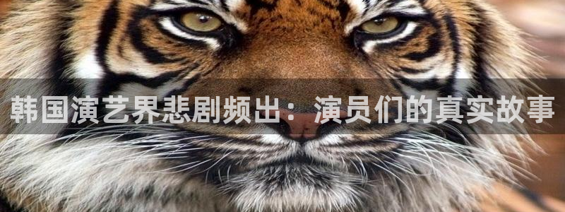 韩国演艺界悲剧频出：演员们的真实故事