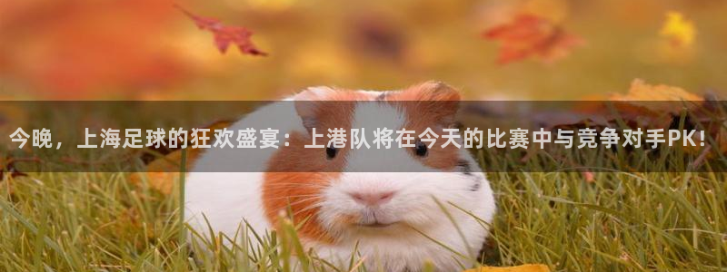 今晚，上海足球的狂欢盛宴：上港队将在今天的比赛中与竞争对手PK！