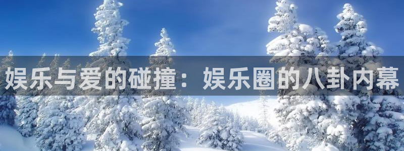 娱乐与爱的碰撞：娱乐圈的八卦内幕