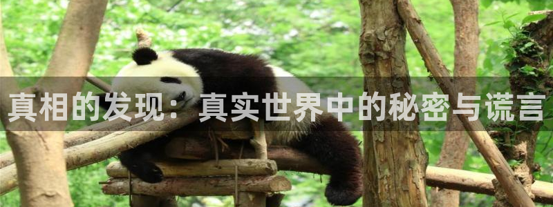 真相的发现：真实世界中的秘密与谎言