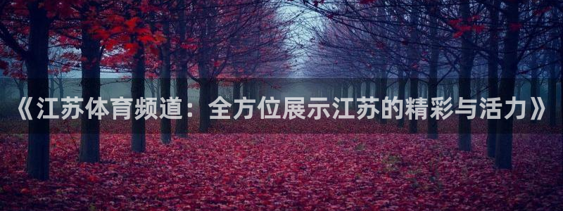 《江苏体育频道：全方位展示江苏的精彩与活力》