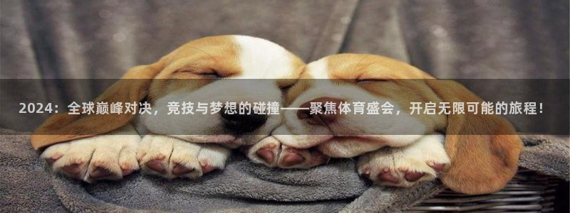 2024：全球巅峰对决，竞技与梦想的碰撞——聚焦体育盛会，开启无限可能的旅程！