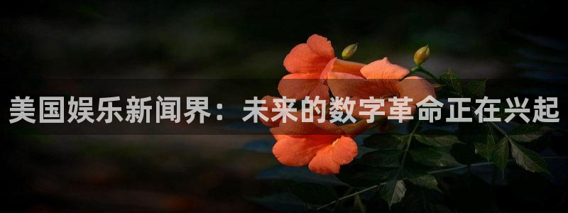美国娱乐新闻界：未来的数字革命正在兴起