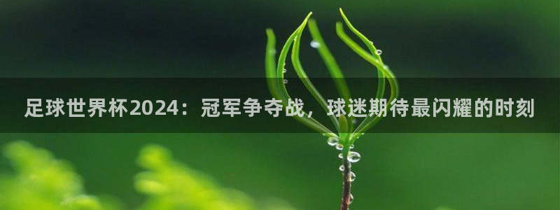 足球世界杯2024：冠军争夺战，球迷期待最闪耀的时刻