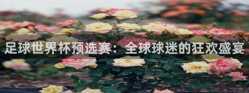 足球世界杯预选赛：全球球迷的狂欢盛宴