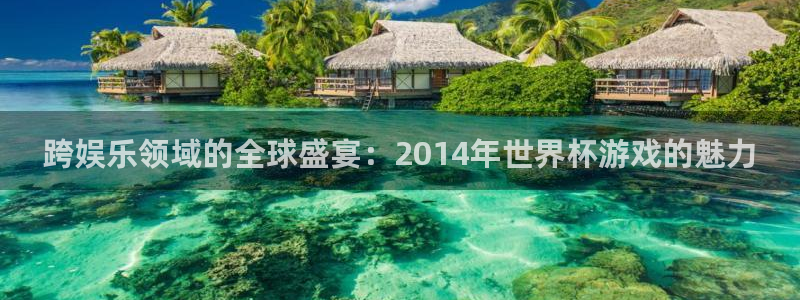 跨娱乐领域的全球盛宴：2014年世界杯游戏的魅力