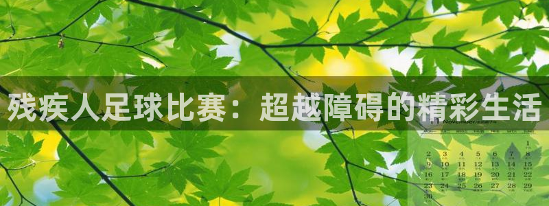 残疾人足球比赛：超越障碍的精彩生活