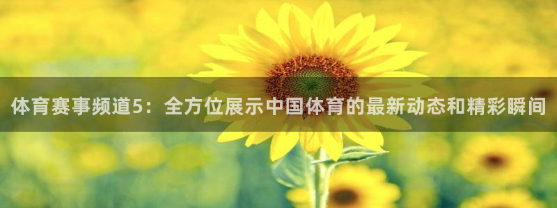 体育赛事频道5：全方位展示中国体育的最新动态和精彩瞬间
