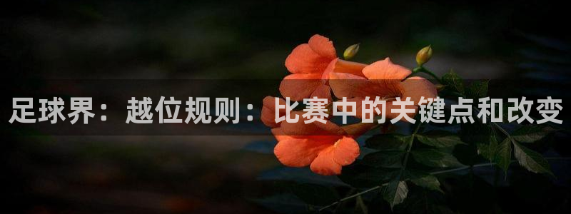 足球界：越位规则：比赛中的关键点和改变