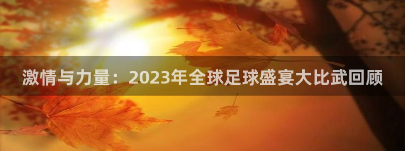 激情与力量：2023年全球足球盛宴大比武回顾