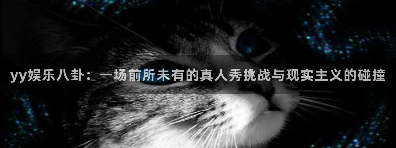yy娱乐八卦：一场前所未有的真人秀挑战与现实主义的碰撞