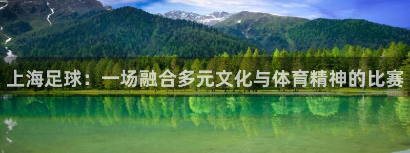 上海足球：一场融合多元文化与体育精神的比赛