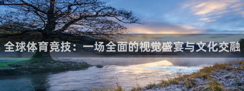 全球体育竞技：一场全面的视觉盛宴与文化交融