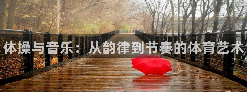 体操与音乐：从韵律到节奏的体育艺术