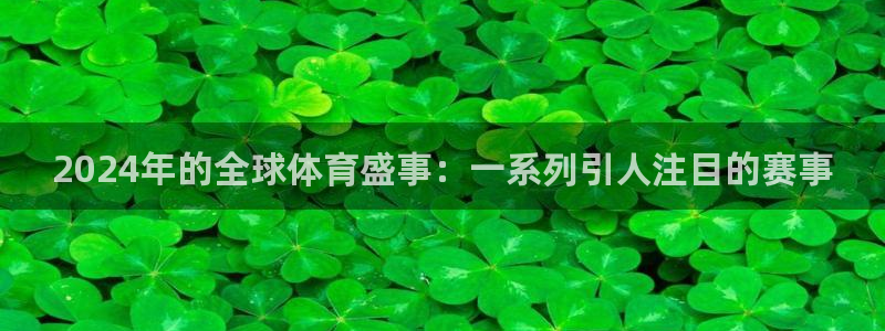 2024年的全球体育盛事:一系列引人注目的赛事