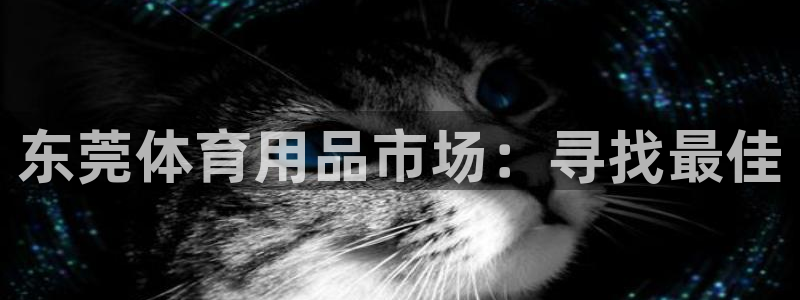 东莞体育用品市场：寻找最佳
