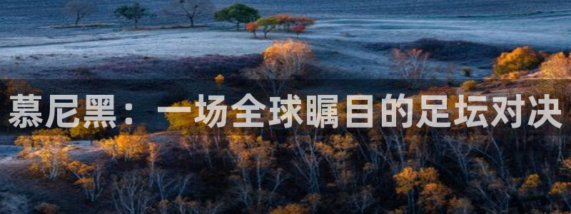 慕尼黑：一场全球瞩目的足坛对决