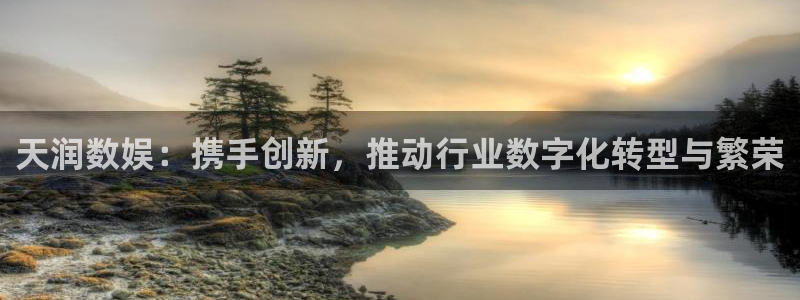 天润数娱：携手创新，推动行业数字化转型与繁荣