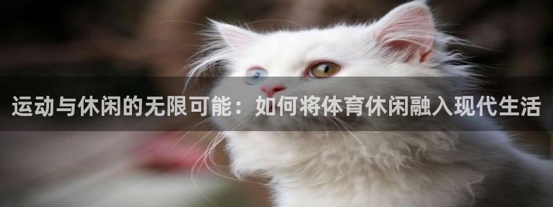 运动与休闲的无限可能：如何将体育休闲融入现代生活