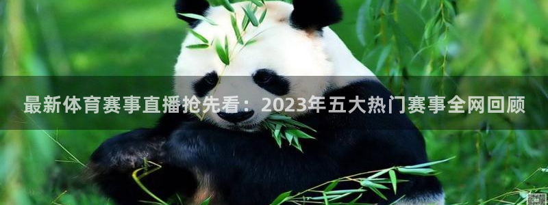 最新体育赛事直播抢先看：2023年五大热门赛事全网回顾