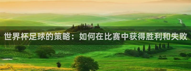 世界杯足球的策略：如何在比赛中获得胜利和失败