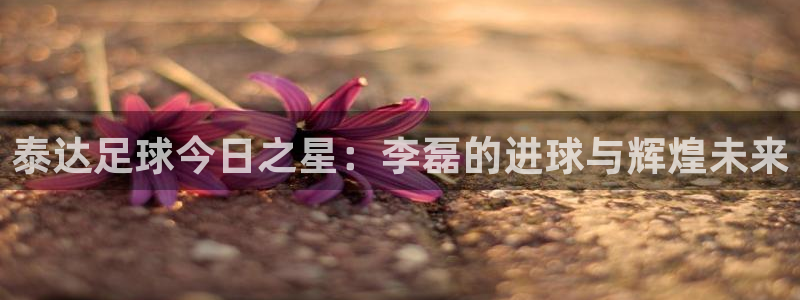 泰达足球今日之星：李磊的进球与辉煌未来