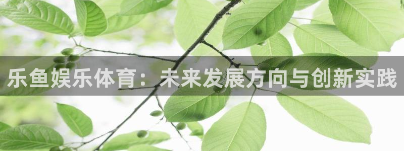乐鱼娱乐体育：未来发展方向与创新实践