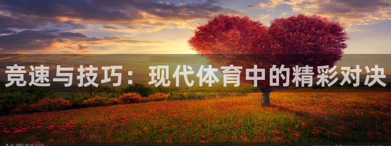 竞速与技巧：现代体育中的精彩对决