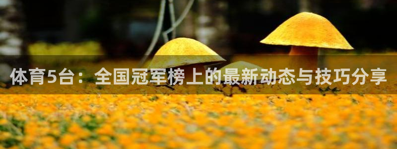 体育5台：全国冠军榜上的最新动态与技巧分享