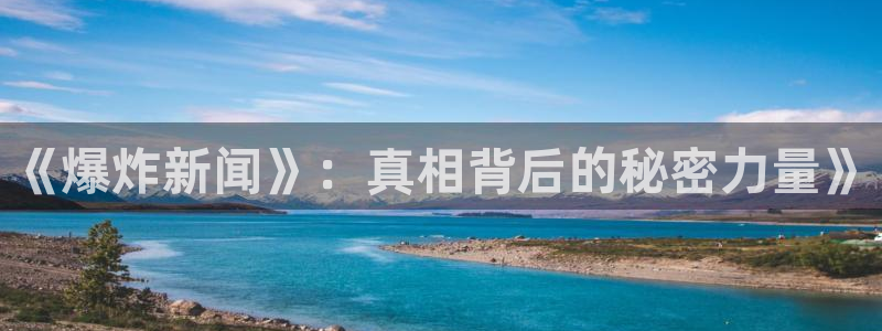 《爆炸新闻》：真相背后的秘密力量》