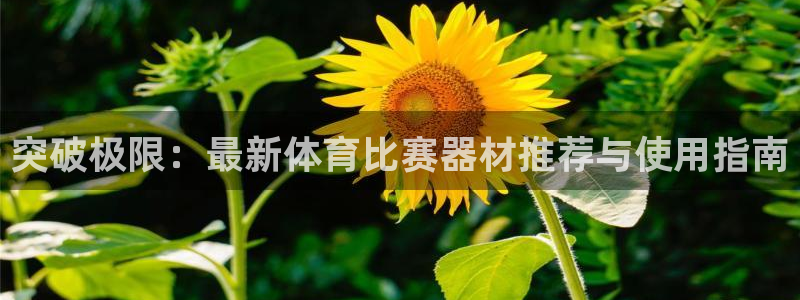 突破极限：最新体育比赛器材推荐与使用指南