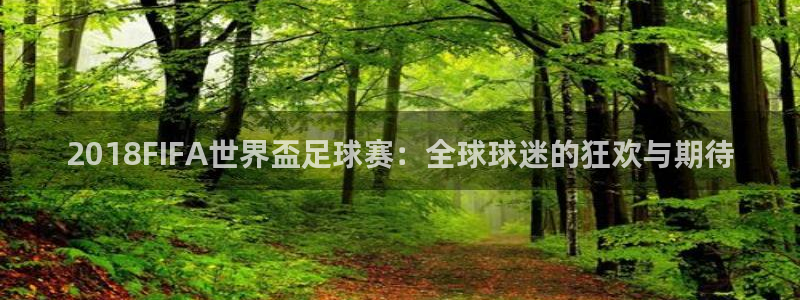 2018FIFA世界盃足球赛：全球球迷的狂欢与期待