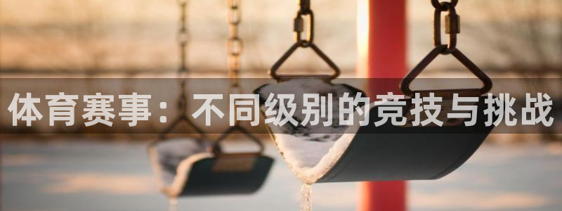 体育赛事:不同级别的竞技与挑战