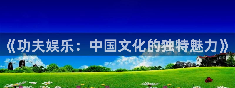 《功夫娱乐：中国文化的独特魅力》