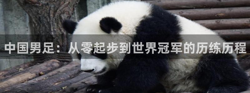 中国男足：从零起步到世界冠军的历练历程