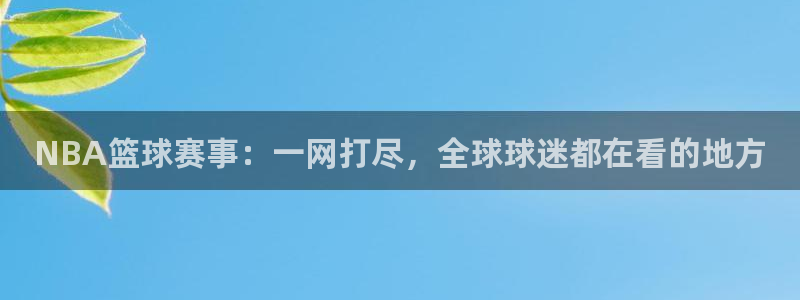 NBA篮球赛事：一网打尽，全球球迷都在看的地方