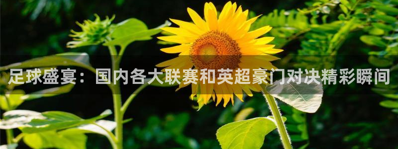 足球盛宴：国内各大联赛和英超豪门对决精彩瞬间