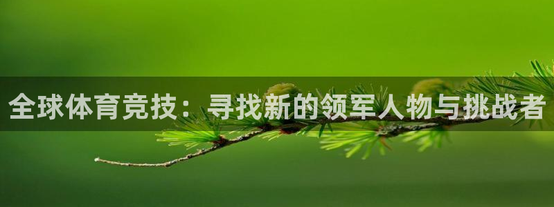 全球体育竞技：寻找新的领军人物与挑战者